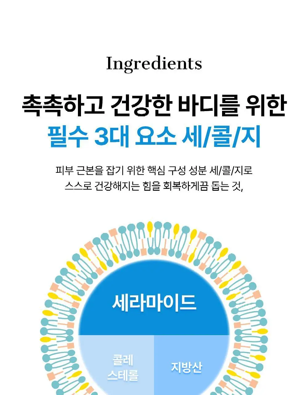 [바디/대용량] 코스알엑스 스킨 베리어 모이스처라이징 크림 450ml 상세페이지 14